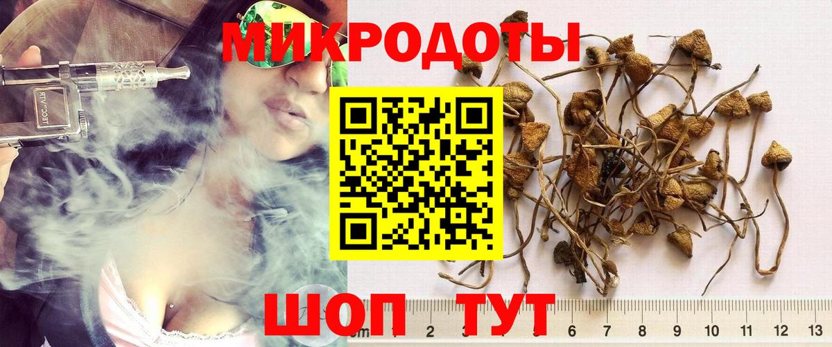 Галлюциногенные грибы мухоморы Нефтеюганск